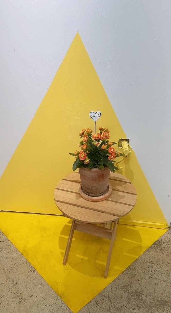 상담예약 안내